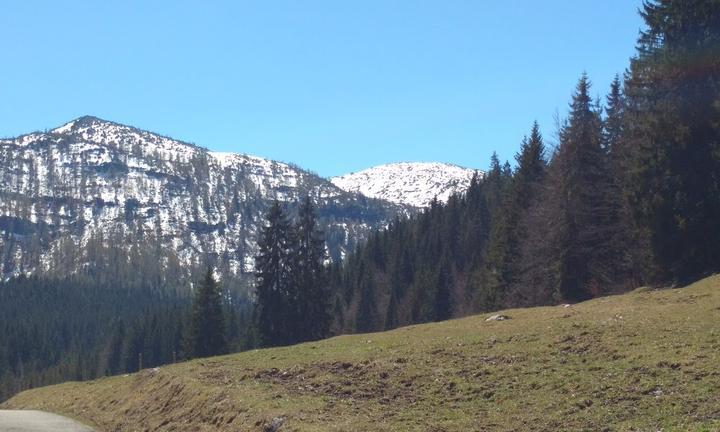 Alpengasthof Hindenburghütte